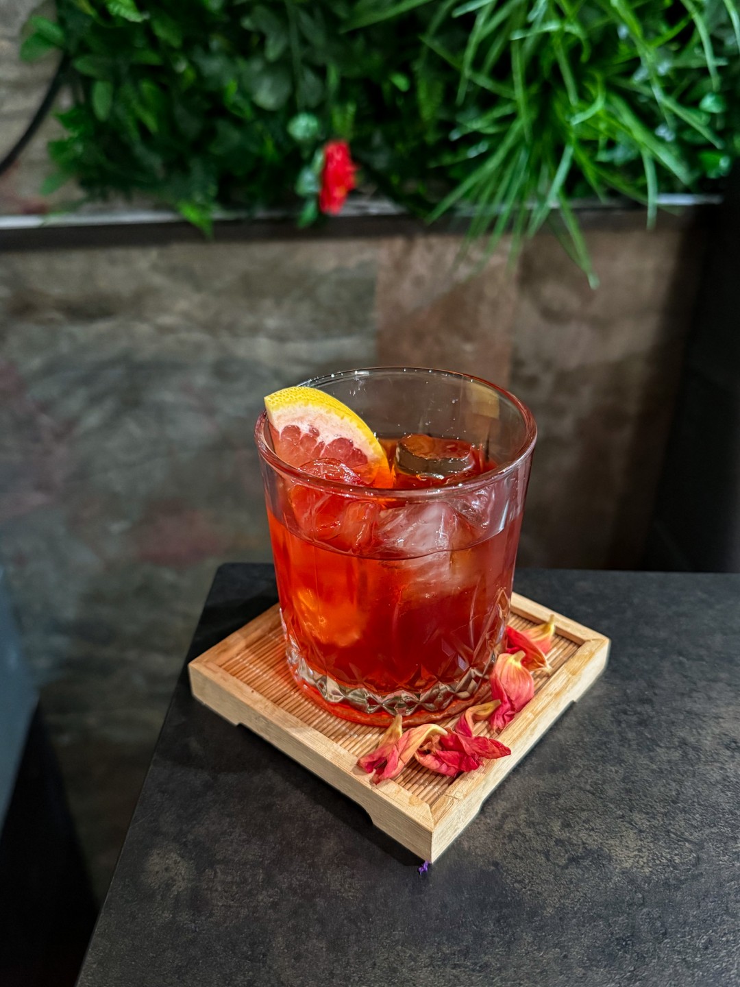 APERITIF ECLIPSE (Large) summery bull mix